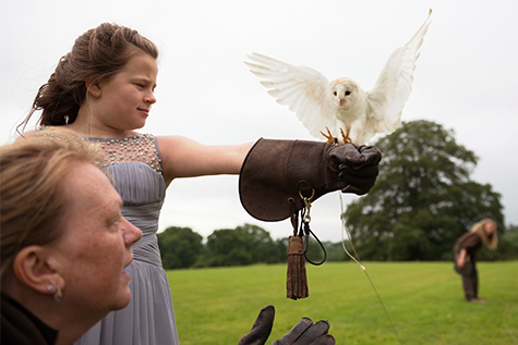 birds of prey wedding