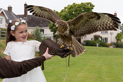 birds of prey wedding